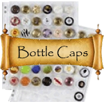 Champagne Bottle Cap Supplies